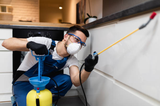Best Best Pest Control Companies  in Shelton, WA