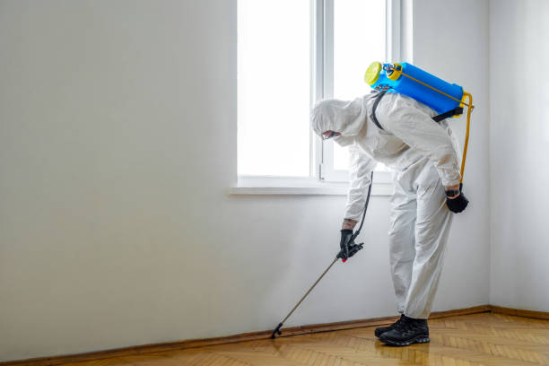 Pest Control for Restaurants in Shelton, WA