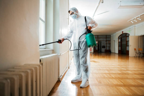 Best Affordable Pest Control Services  in Shelton, WA