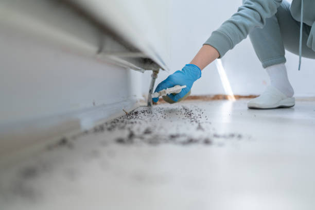 Best Best Pest Control Companies  in Shelton, WA